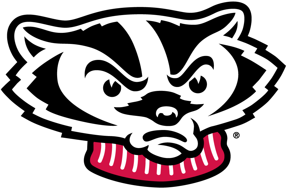 Wisconsin Badgers 2002-Pres Mascot Logo diy iron on heat transfer
